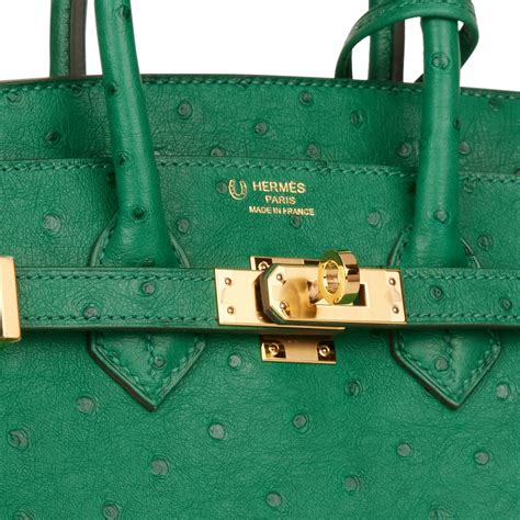 vert vertigo ostrich birkin.